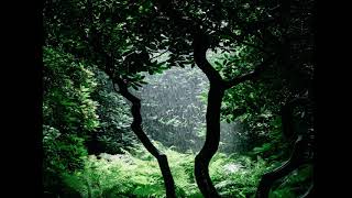 relax music 2021 screenshot 5