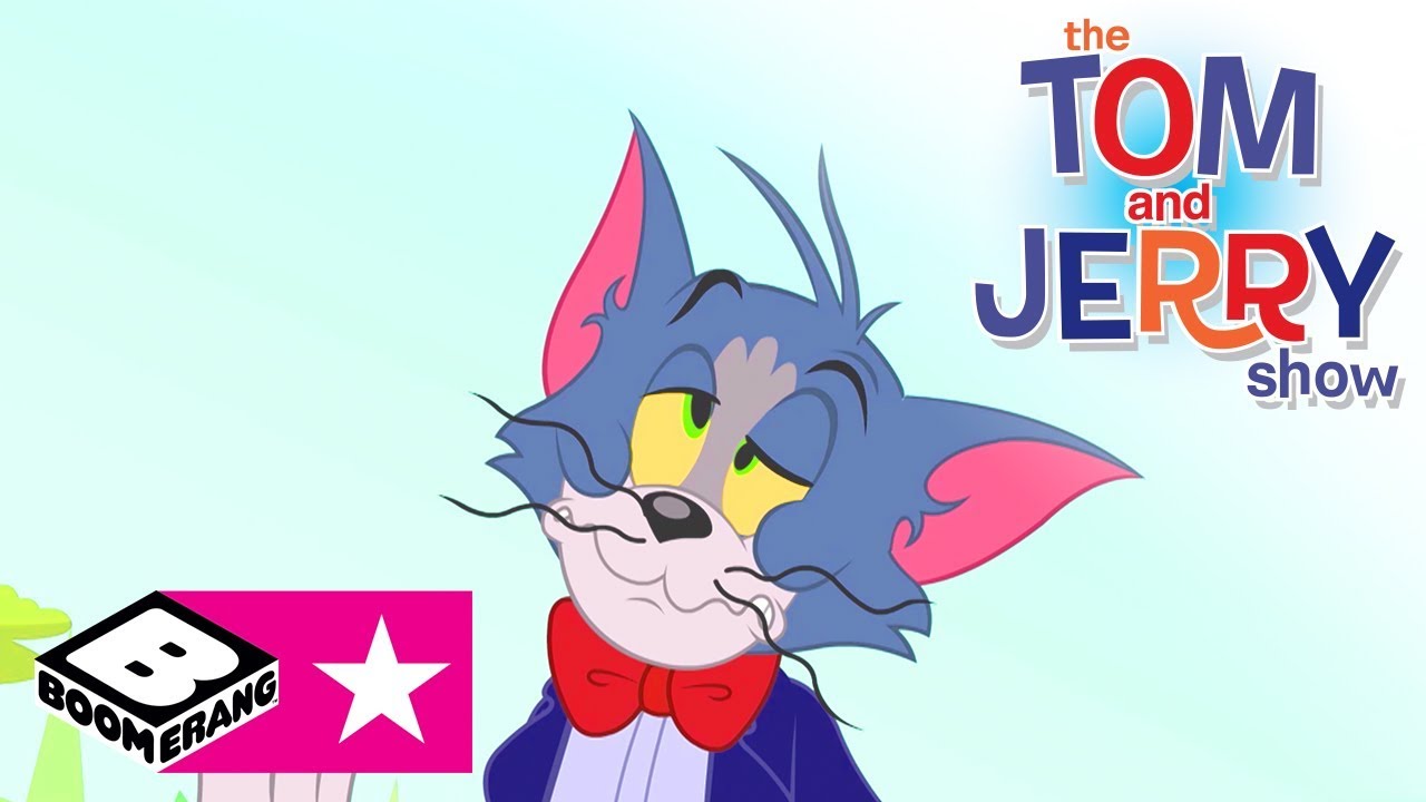 Tom i Jerry Show Nowe odcinki Cartoonito YouTube