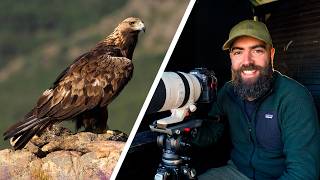 Así es fotografiar el Águila Real desde un hide | Sierra de Madrid