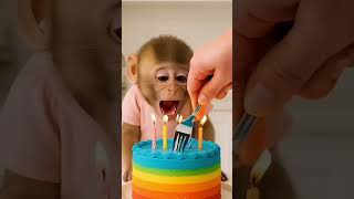 Bhoot ko cake ni mila #shorts #shortsfeed #bhoot