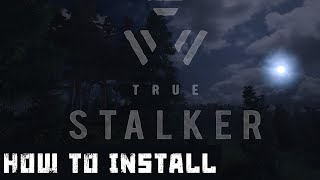 How to easily install True Stalker and patches - 2024