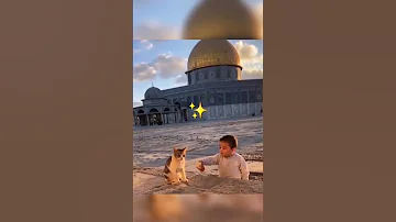 لا يزال الخير حيا لا يزال 