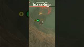 The Ragdoll On This Gleeok Was Hilarious zelda tearsofthekingdom