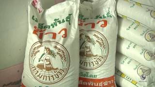 รายการคนไทยหัวใจเกษตร  31 ตุลาคม 2559 B3