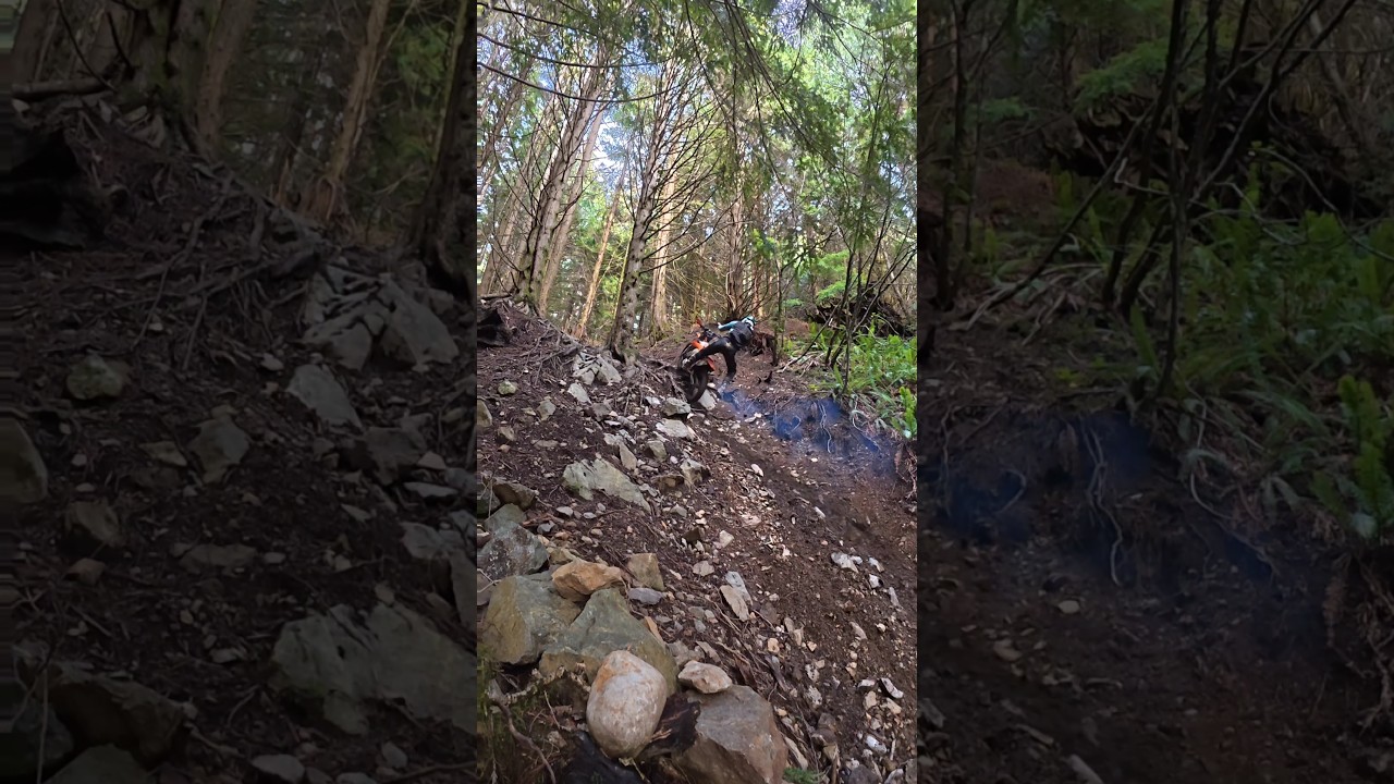 December ride, but feels like spring 