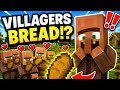 “Bread = Baby Villagers?! 😭”