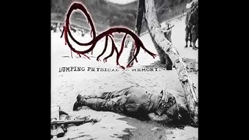 QINA - Dumping physical memory