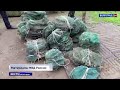 В Волгограде задержали торговцев браконьерскими раками