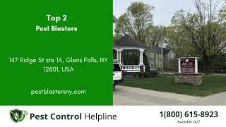 Top 3 Pest Control in Glens Falls North