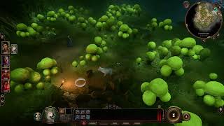 Baldur's Gate 3 - Saving Baelen using Scratch! (Find the Mushroom Picker) screenshot 4