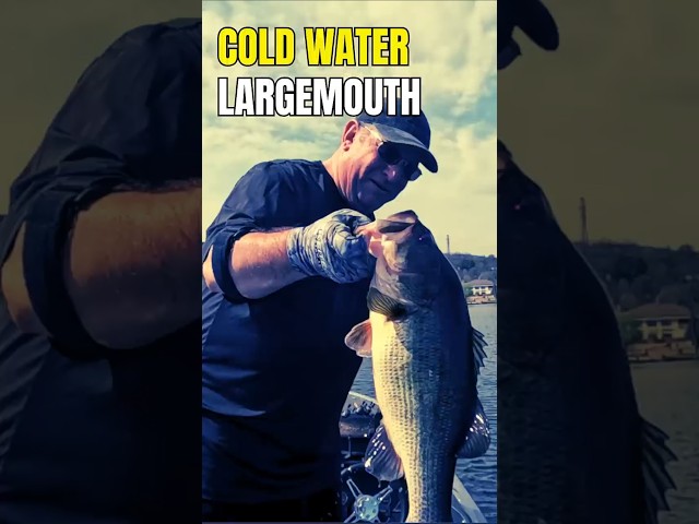 Cold Water Largemouth on the Jig