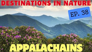 Mysteries of the Appalachian Mountains:  Wildlife  and Ecosystem  Destinations in Nature