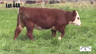 Lot 44A
