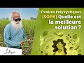 Quelle est la meilleure solution pour sopk le syndrome des ovaires polykystiques 