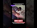 Video shows passenger stɇaling biryani from vendor, raises civic concern