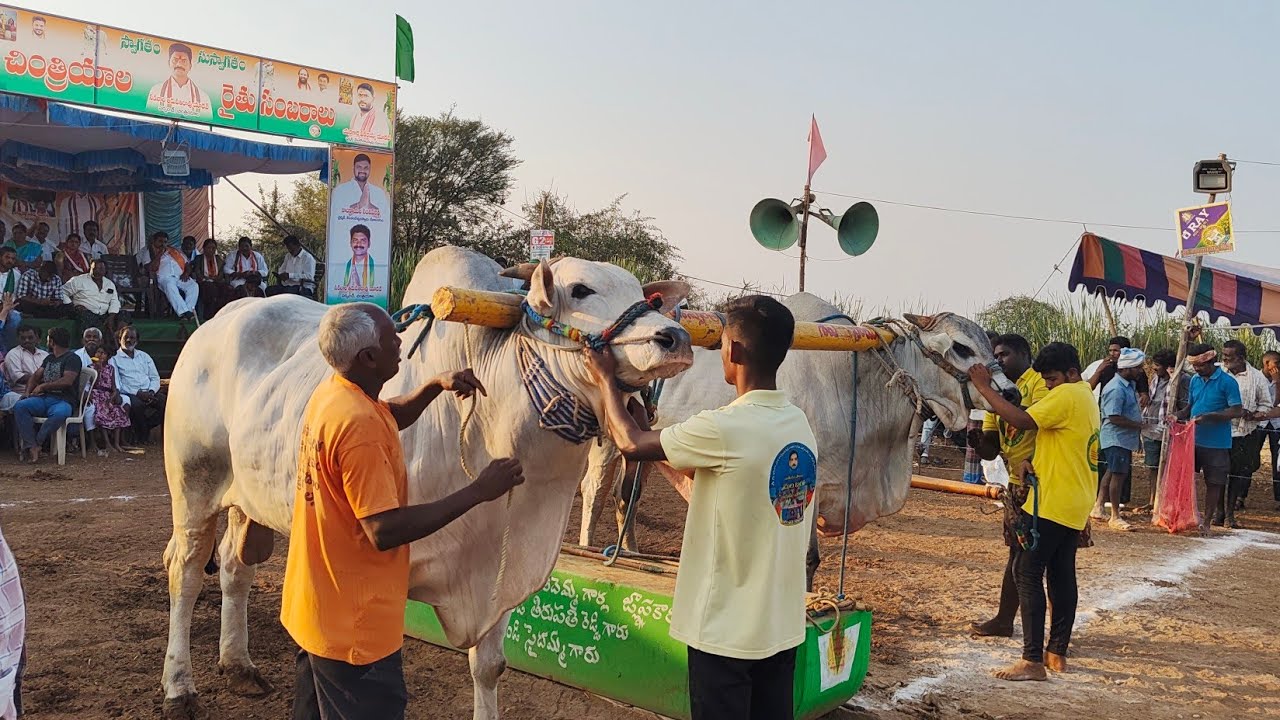 చింత్రయాల ,7️⃣🏆🎖️🔥 లక్కు నాగ శివ శంకర్ గారు జేసీ అగరహారం బేస్తవారిపేట ప్రకాశం జిల్లా