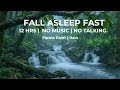 Rain Sounds for Sleep | Gentle Forest Stream &amp; Rain Deep in the Woods | No Music No Talking 12 Hours