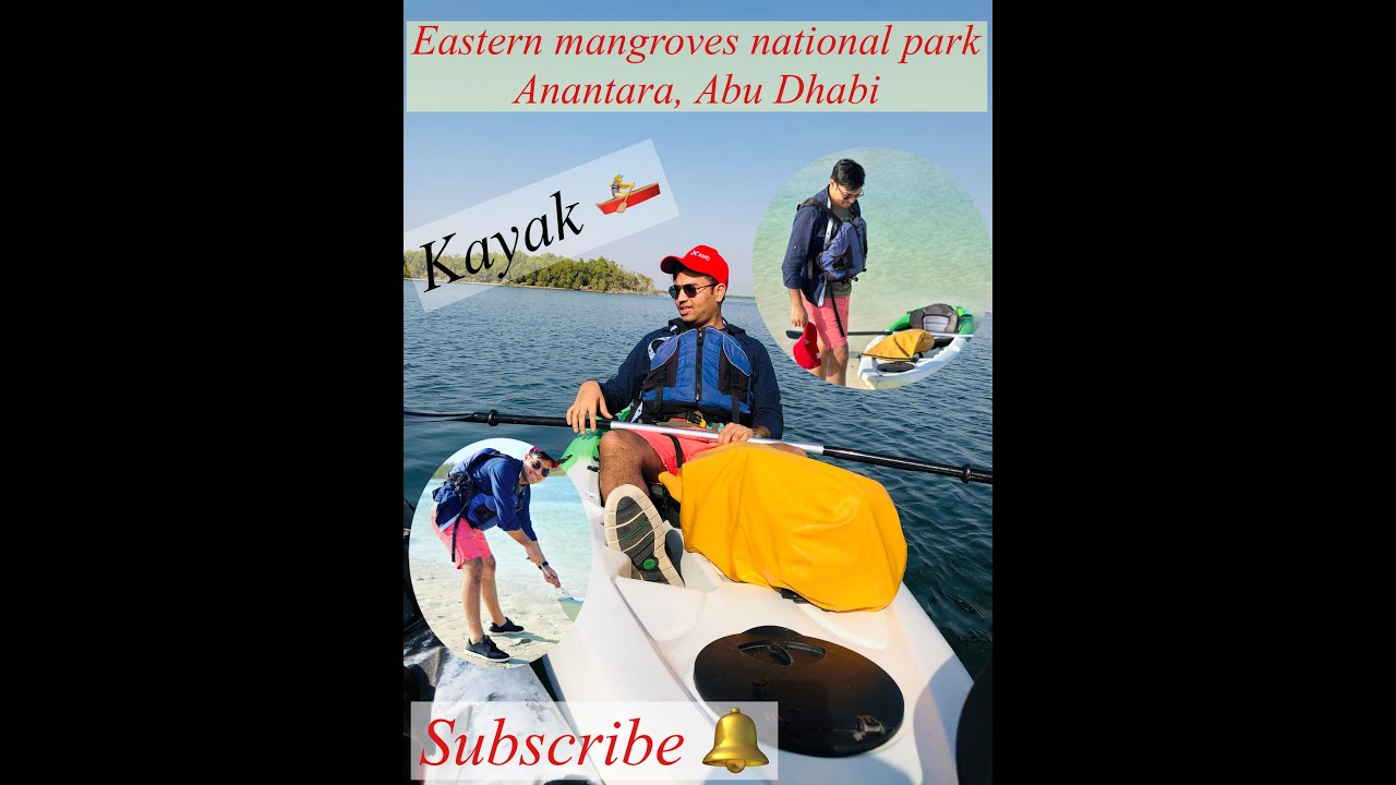 Mangroves park abudhabi || Mangroves national park tour by kayak || Kayaking || Mangroves Abudhabi.