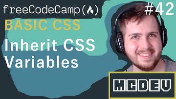 #42 Inherit CSS Variables | Basic CSS | Solution + Overview