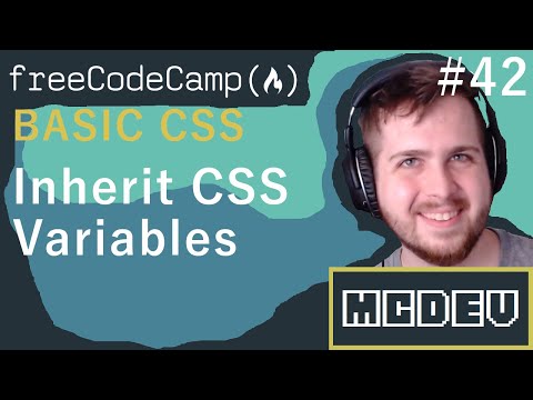 #42 Inherit CSS Variables | Basic CSS | Solution + Overview