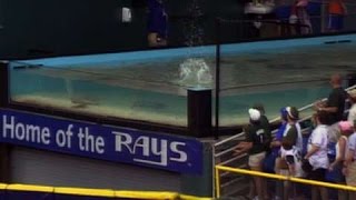 LAD@TB: Gonzalez hits first homer into the Rays Tank