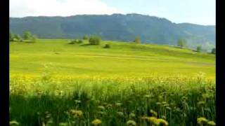 Leo Brouwer - Berceuse  (Cancion de Cuna)