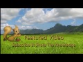 End of video