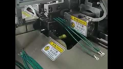 Automatic Double-head Dip Tin Machine