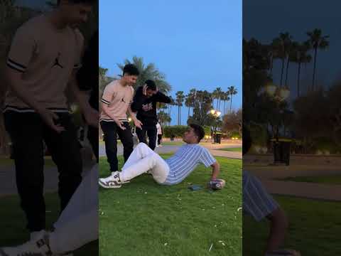 جمهور القطط