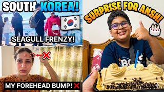 GOT HURT! 🛑 Forehead Bump & Feeding Seagulls ||Heart’svlogs||