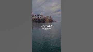 ولو يؤاخذ الله الناس بما كسبوا ما ترك على ظهرها من دابة | الآية 45 من سورة فاطر