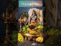 Happy Vishu 🌺🪷🙏🕉️