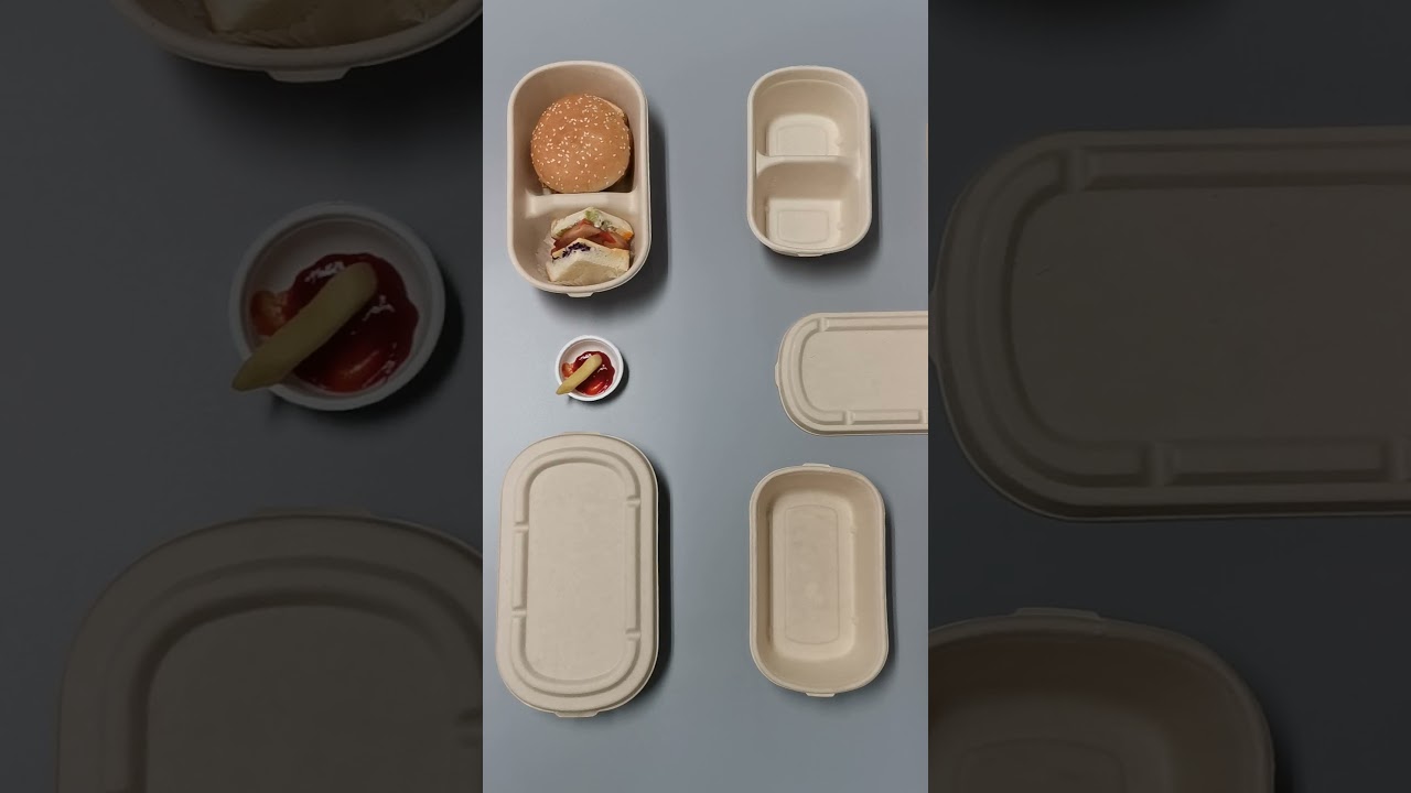 Wholesale Biodegradable And Compostable Bagasse Food Container