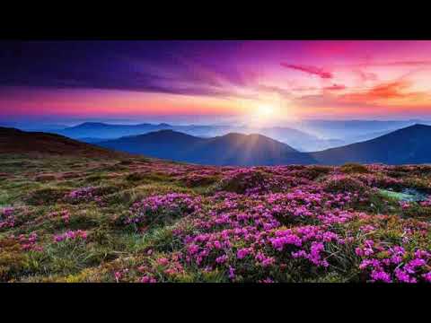 سورة البقرة مرتلة - الشيخ محمود الطوخي