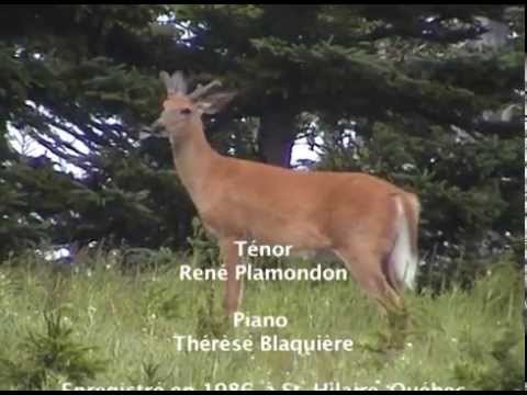 beauté privé Musique classique et mélodie française : Mai de Gabriel Fauré, scènes de la nature