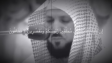 تلاوة من سورة الفتح .| الشيخ : ماهر المعيقلي