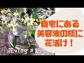 フラワーアレンジメント/花のある暮らし 花vlog＃1 『自宅にあるアレを使って花瓶活け』