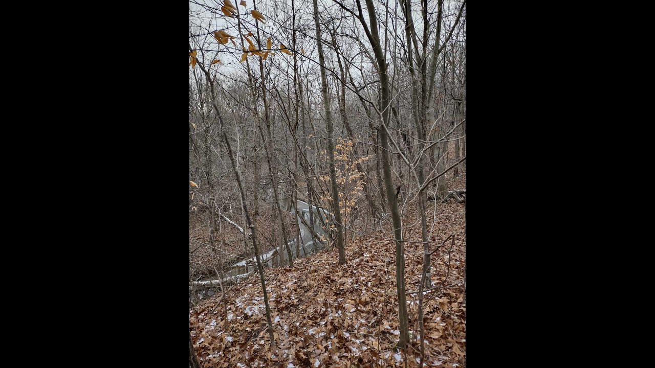 Next Turn Outdoors. January 2-6  2024. Trail Cam. Deer and Turkey.