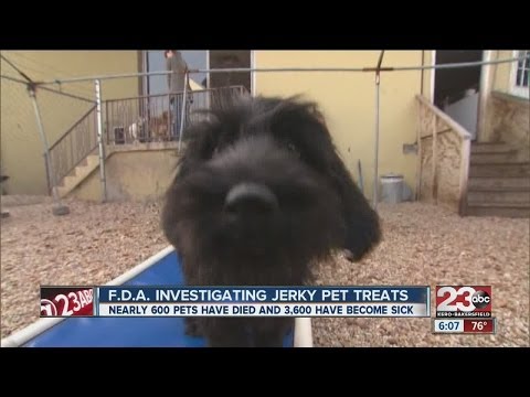 Videó: Breaking News - Az FDA frissítést nyújt a Jerky Pet Treat Investigation-ről