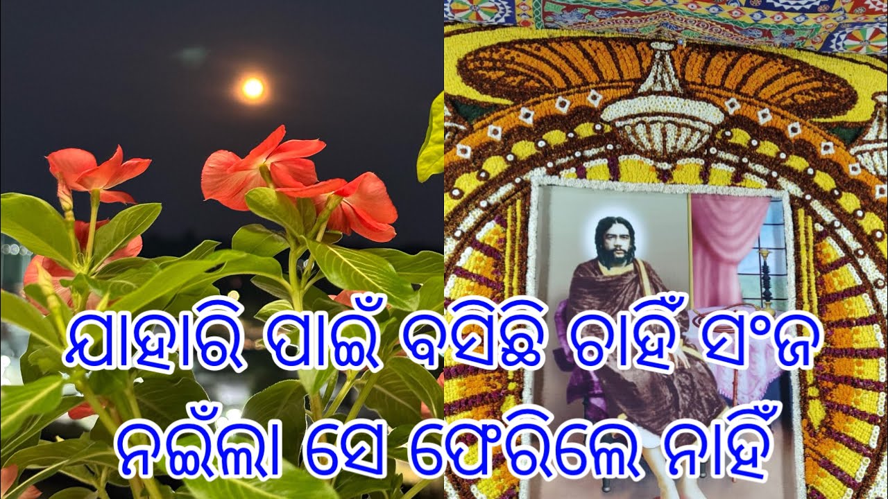 ଯାହାରି ପାଇଁ ବସିଛି ଚାହିଁ ସଂଜ ନଇଁଲା ସେ ଫେରିଲେ ନାହିଁ - ଜୟଗୁରୁ🙏