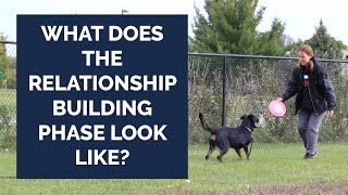 Michael Ellis on What Does the Relationship Building Phase Look Like?