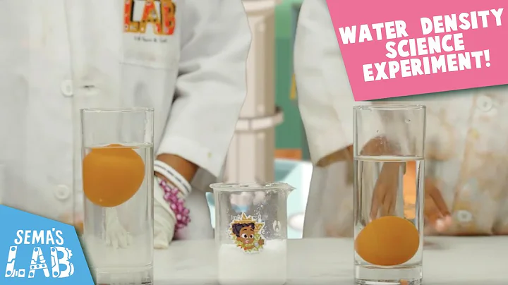 Water Density Science Experiment | Egg Float Experiment | Sema's Lab