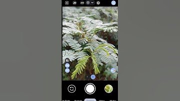 GOOGLE CAMERA LMC 8.4 R18 CONFIG B&W HUMAN LNTEREST SNAPD.😉 #googlecamera#configgcam#gcamlmc#shrot