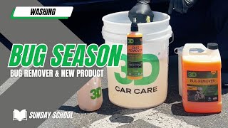 3D Sunday School: Bug Season with Bug Remover