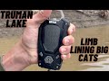 TRUMAN LAKE LIMB LINING BIG CATS