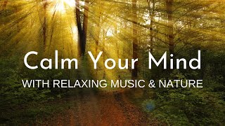 Blissful Serenade: Music for Soothing the Soul