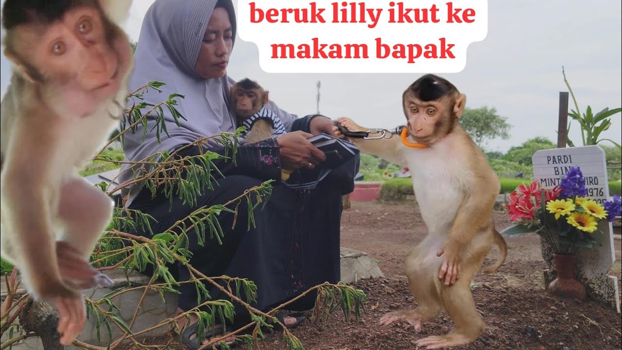 LILLY IKUT IBU KE MAKAM BAPAK