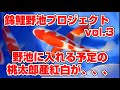 【錦鯉野池プロジェクトvol.3】桃太郎産紅白が、、、