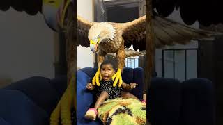 The missing child😱😱 #bestcomedyskit #funny #comedy #movie