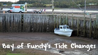 Bay of Fundy's Radical Tide Swings